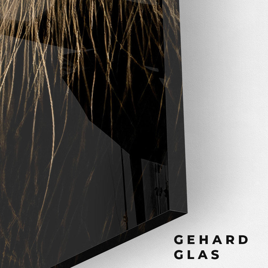 Lion in the Dark (2x) - Glas