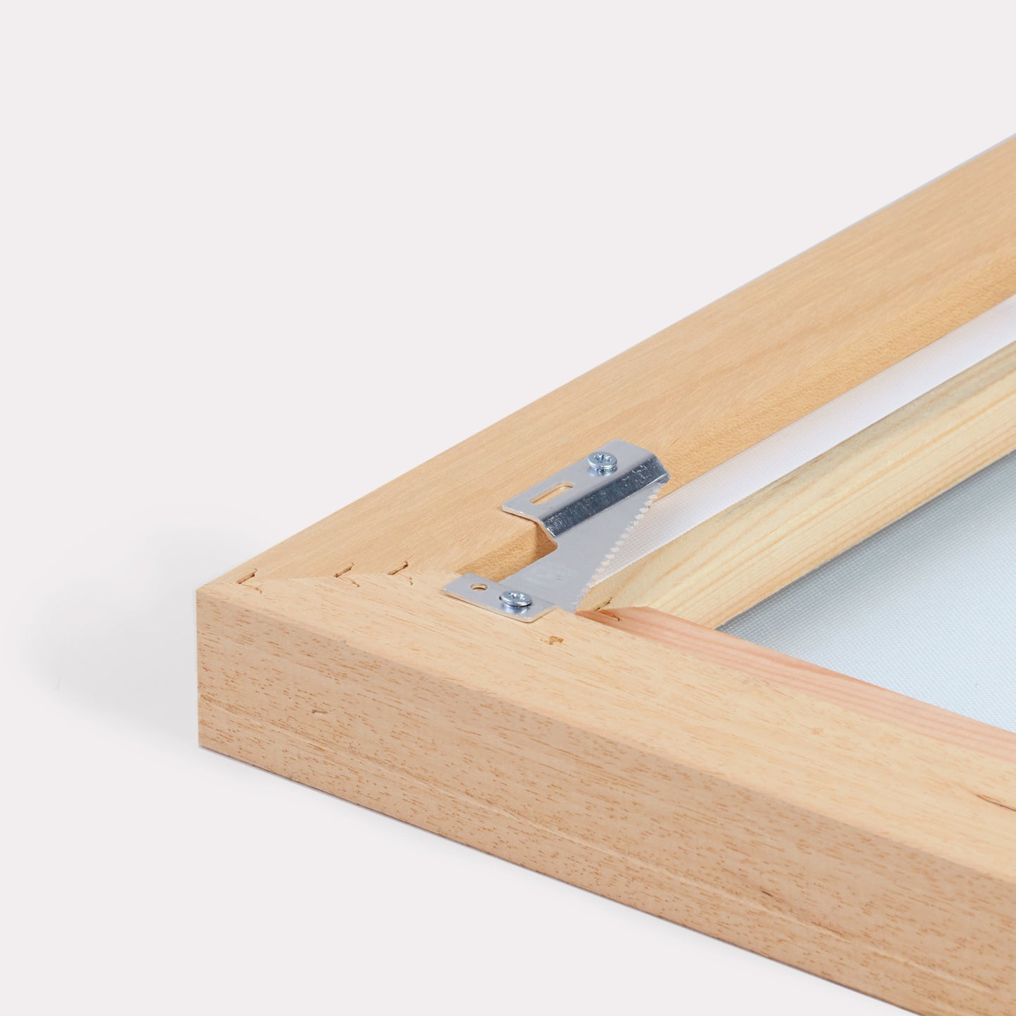 Beach Birds Canvas Kunst