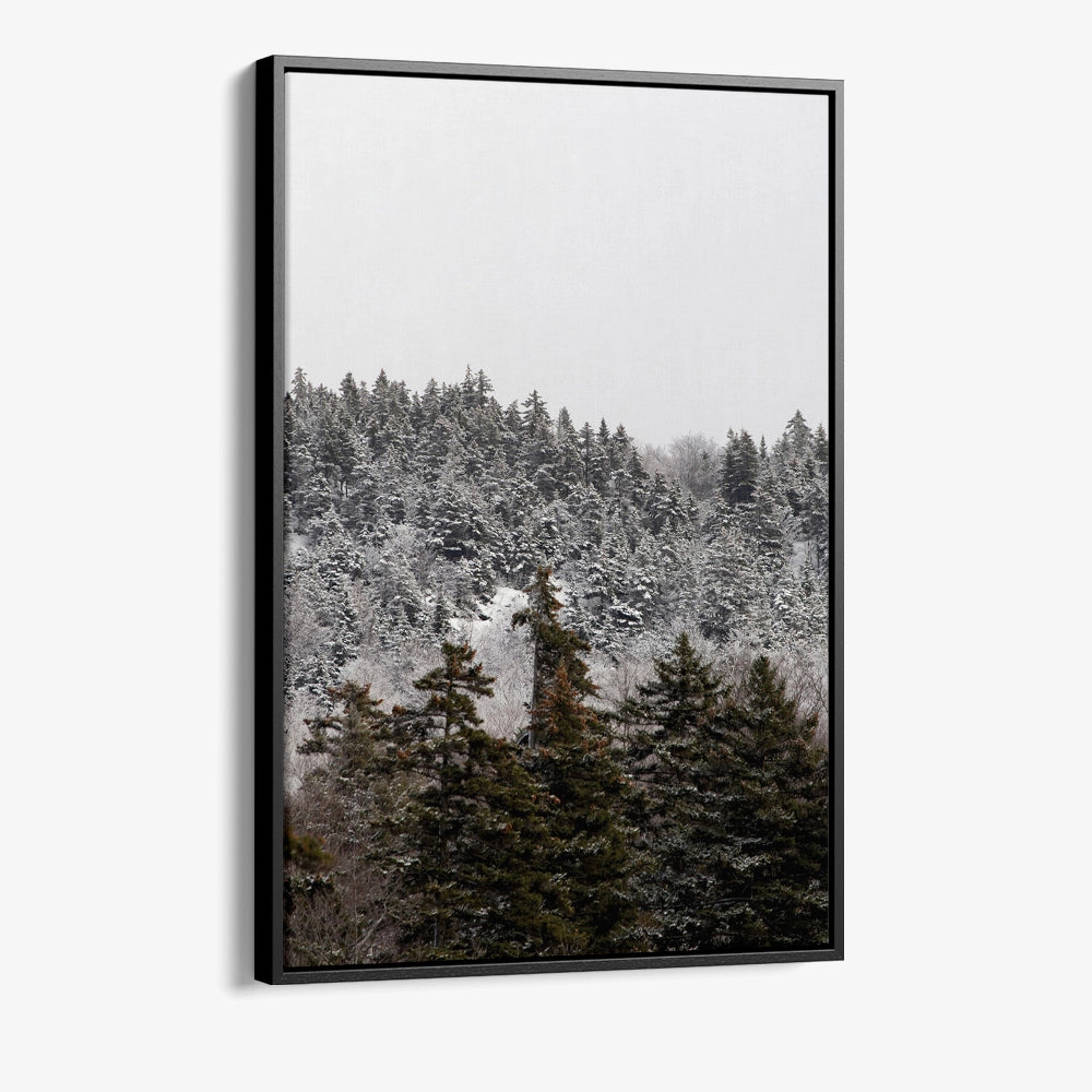 Winterbos Glas & Canvas