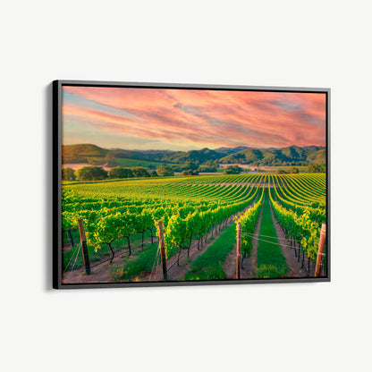 Wijngaard Glas & Canvas