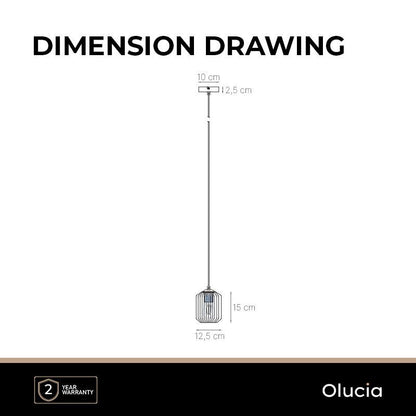 Retro hanglamp transparant, Jisca