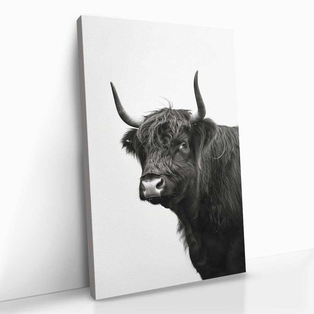 "B&W Muscox II" Glas & Canvas