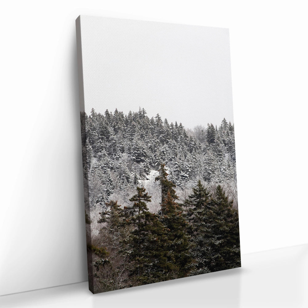 Winterbos Glas & Canvas