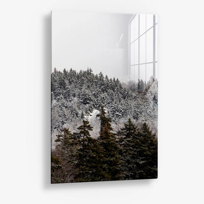 Winterbos Glas & Canvas