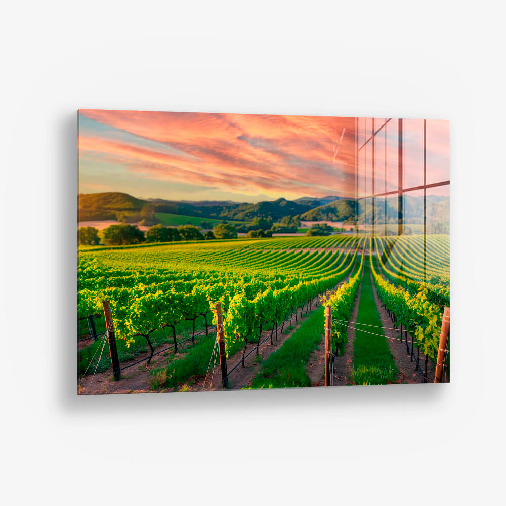 Wijngaard Glas & Canvas