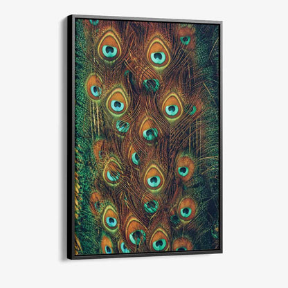 Pauwenveren Glas & Canvas