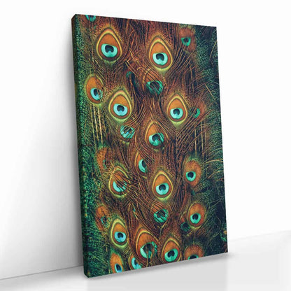 Pauwenveren Glas & Canvas