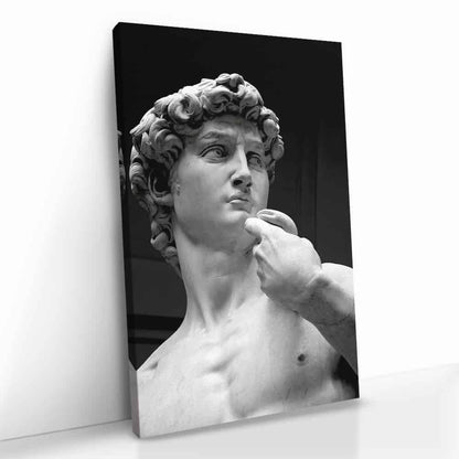 David of Michelangelo Glas & Canvas