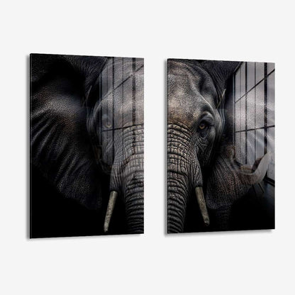 Bundle: "Elephant" (2x) – Glas & Canvas