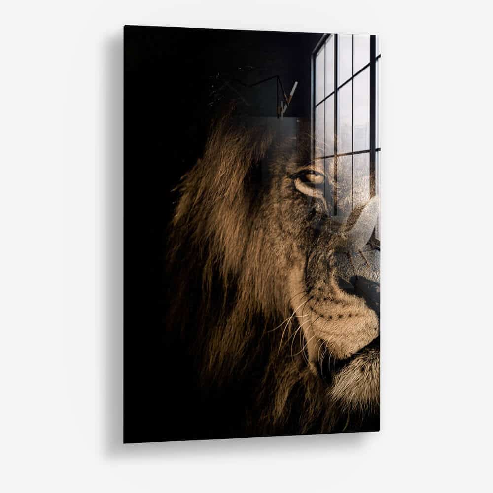 Lion in the Dark (2x) - Glas