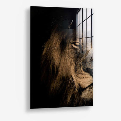 Lion in the Dark (2x) - Glas