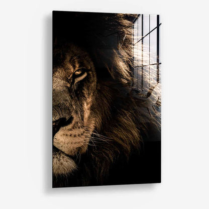Lion in the Dark (2x) - Glas