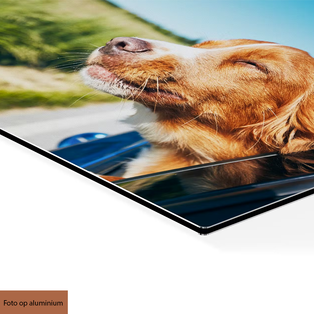 Eigen foto aan de muur