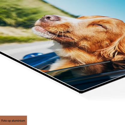 Eigen foto aan de muur