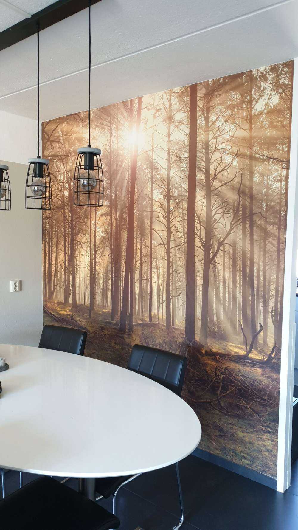 Fotobehang - Bos met hoge bomen