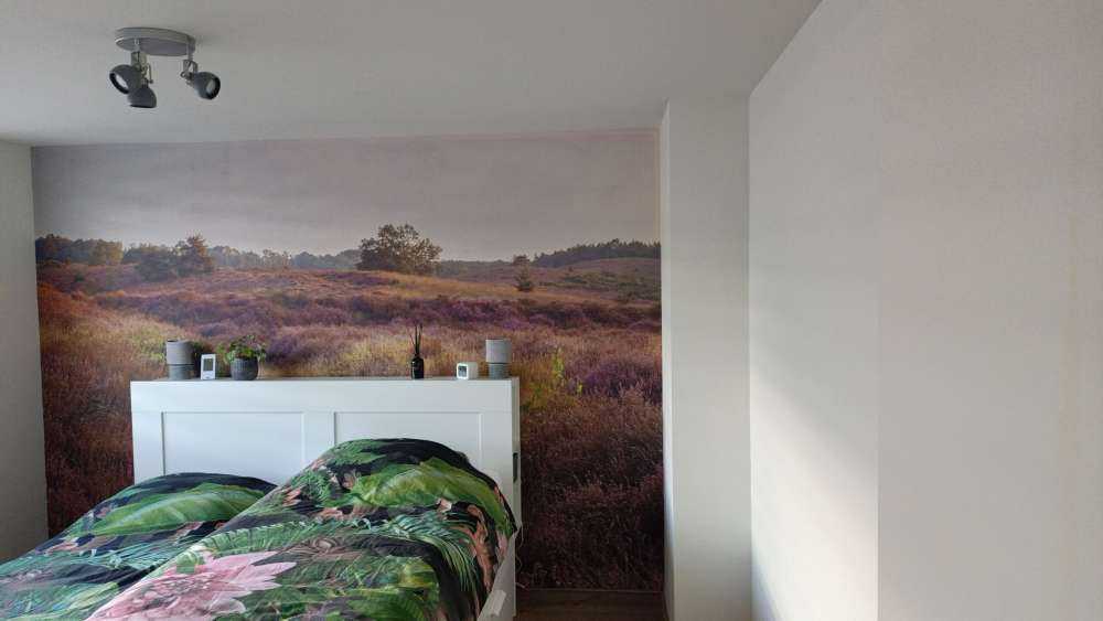 Fotobehang - Heide bij zonsopgang