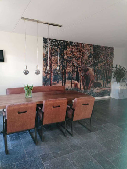 Fotobehang - Schotse hooglander bij de bosrand