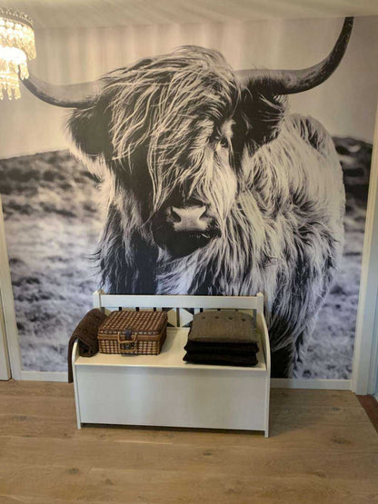 Fotobehang - Schotse hooglander in zwart-wit