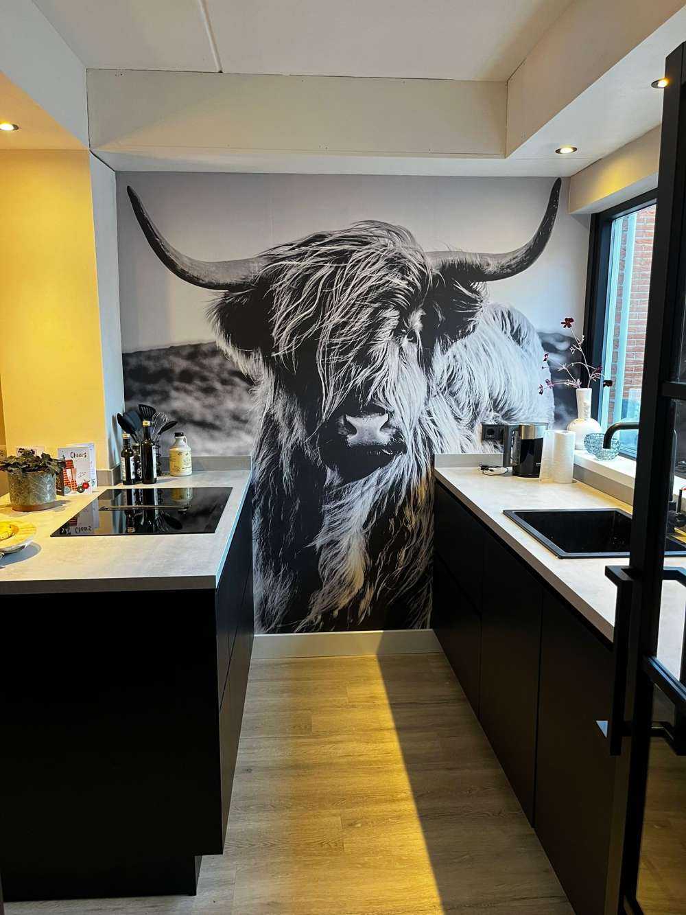 Fotobehang - Schotse hooglander in zwart-wit