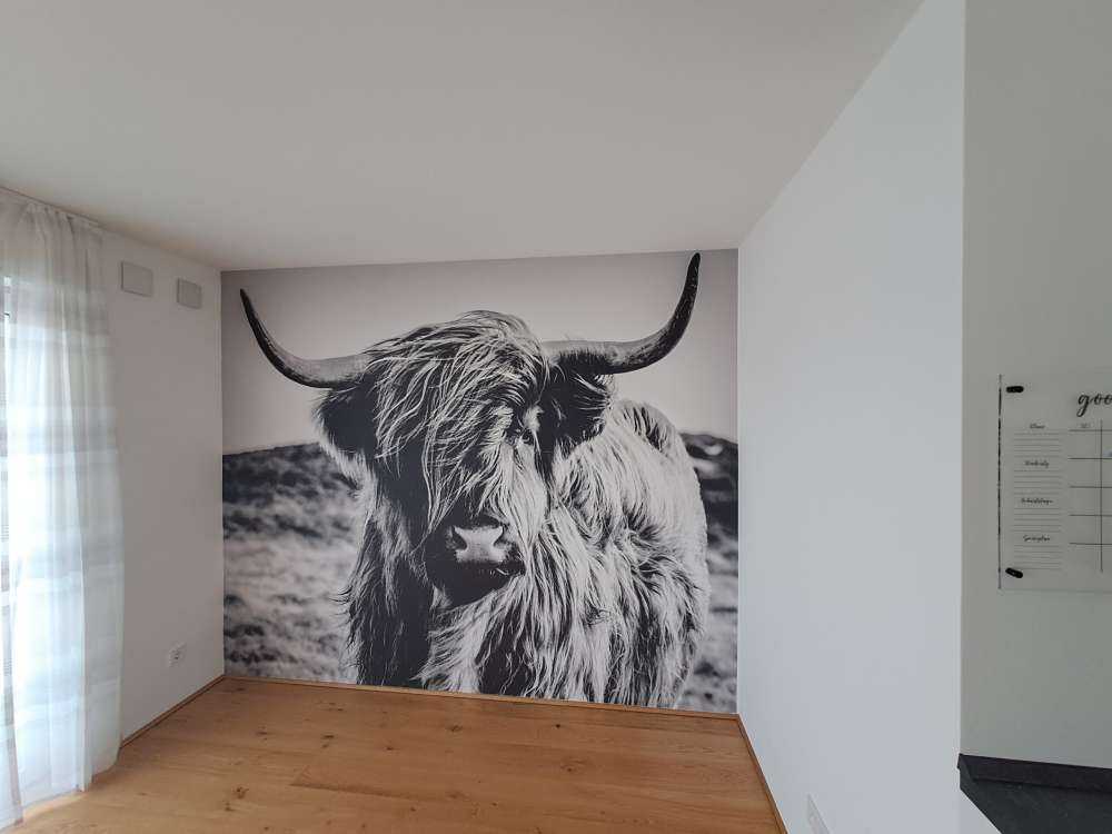 Fotobehang - Schotse hooglander in zwart-wit