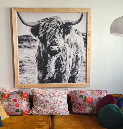 Fotobehang - Schotse hooglander in zwart-wit