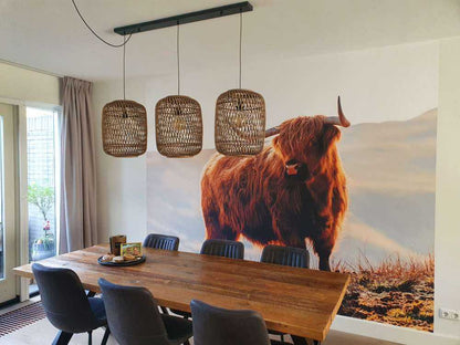 Fotobehang - Schotse hooglander op een heuvel