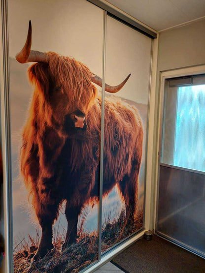 Fotobehang - Schotse hooglander op een heuvel