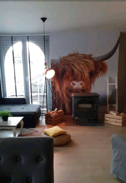 Fotobehang - Starende Schotse hooglander