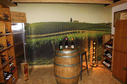 Fotobehang - Toscaanse wijngaard