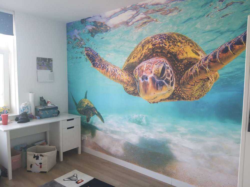 Fotobehang - Zeeschildpad in de oceaan