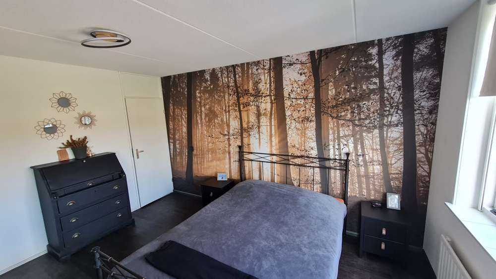 Fotobehang - Zonnestralen in een mistig bos