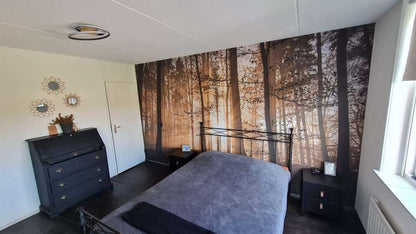 Fotobehang - Zonnestralen in een mistig bos