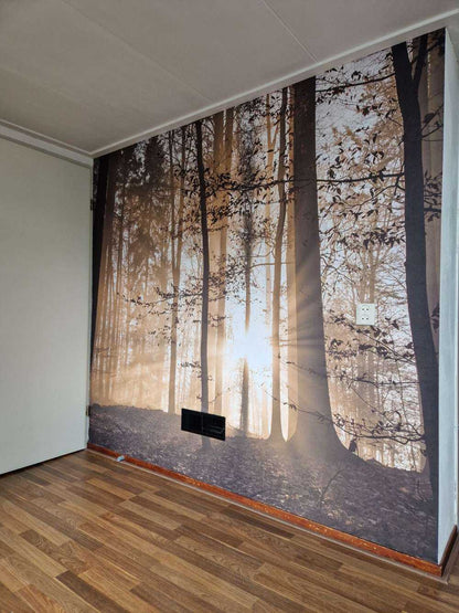 Fotobehang - Zonnestralen in een mistig bos