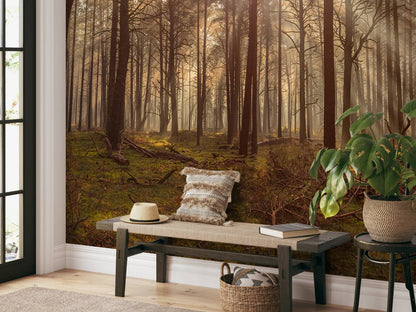Fotobehang - Bos met hoge bomen