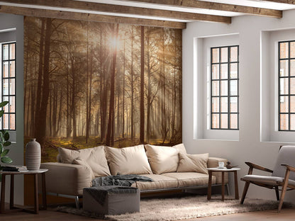 Fotobehang - Bos met hoge bomen