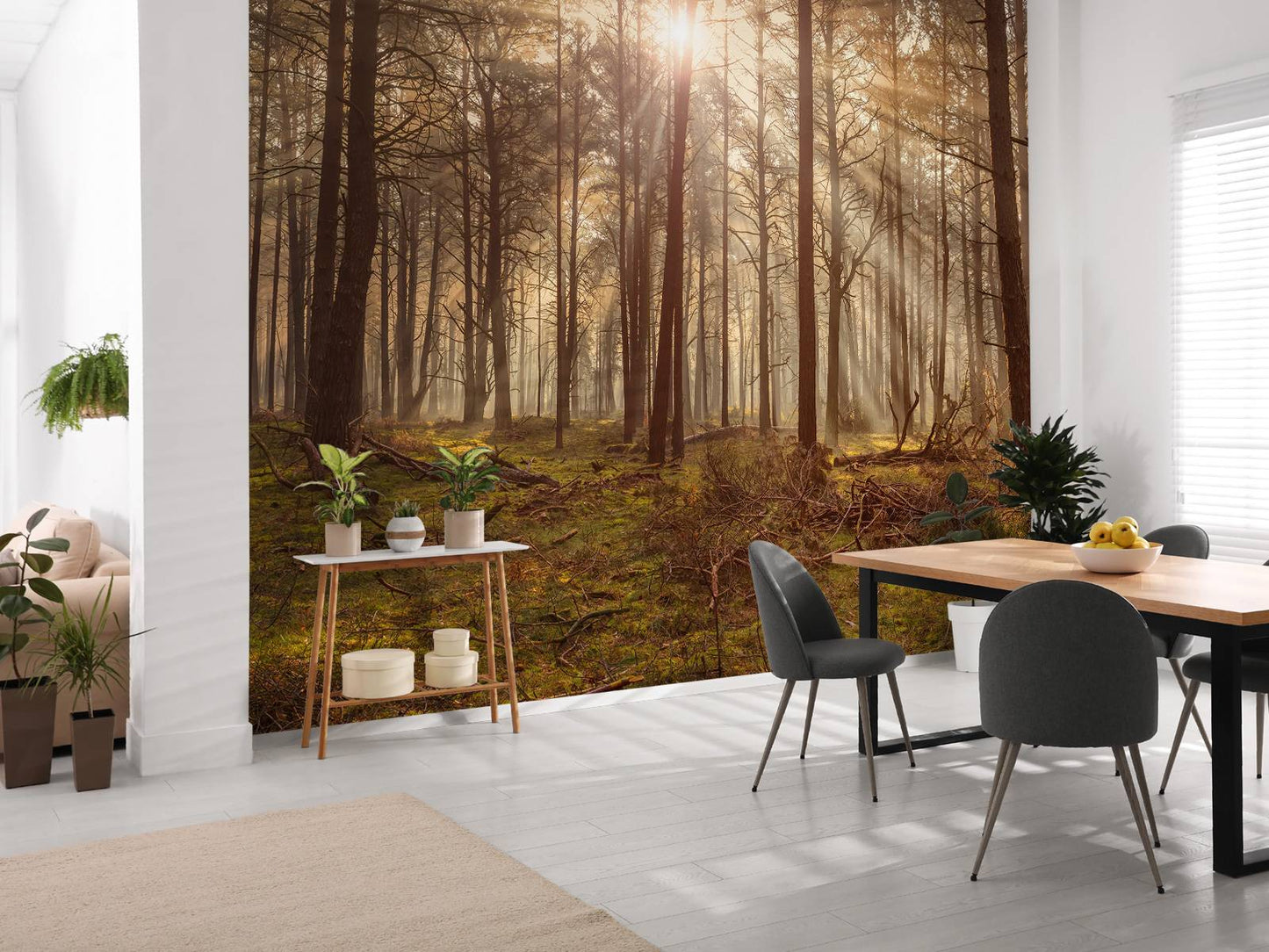 Fotobehang - Bos met hoge bomen