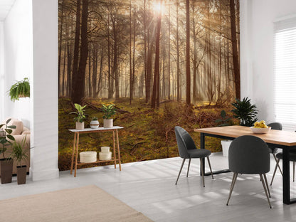 Fotobehang - Bos met hoge bomen