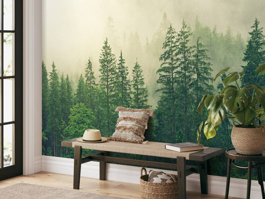 Fotobehang - Dennenbomen in de mist