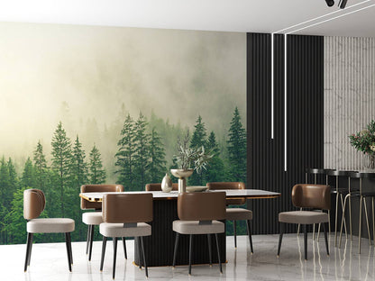 Fotobehang - Dennenbomen in de mist