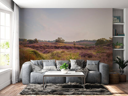 Fotobehang - Heide bij zonsopgang