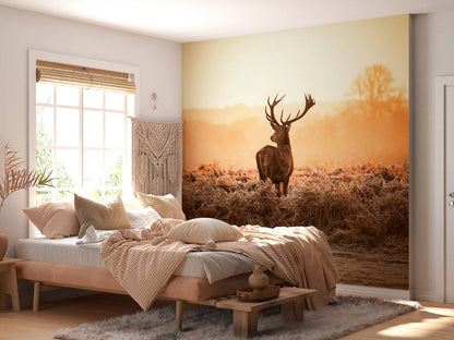 Fotobehang - Hert bij zonsopkomst