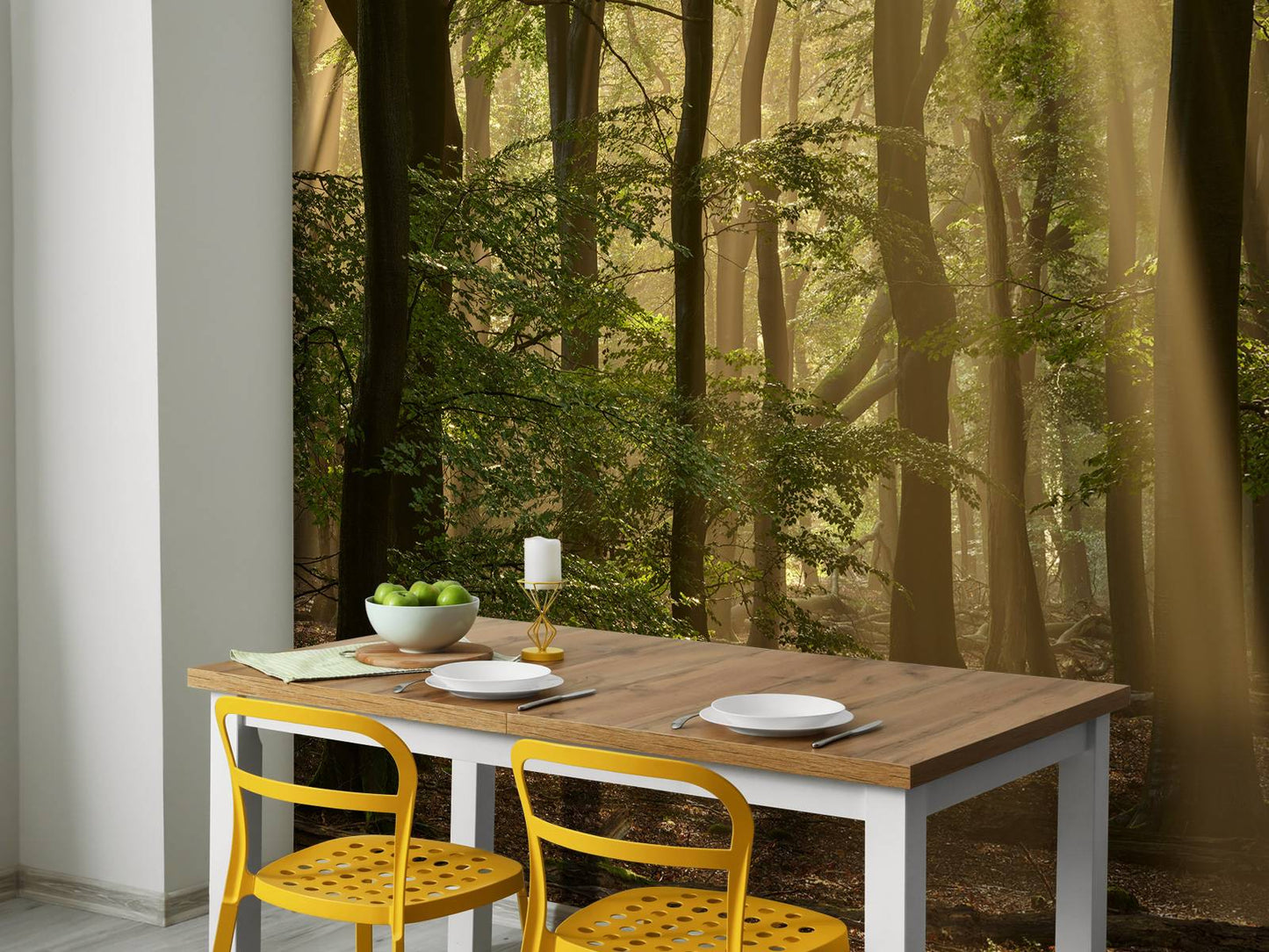 Fotobehang - Oud bos met zonneharpen