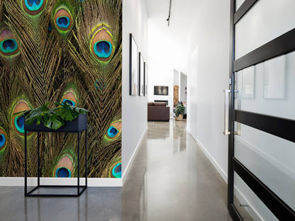 Fotobehang - Pauwenveren