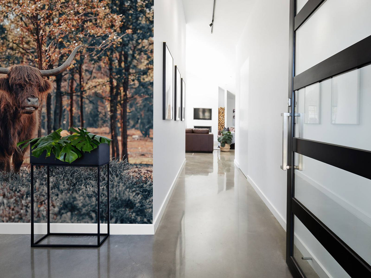 Fotobehang - Schotse hooglander bij de bosrand