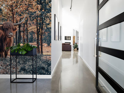 Fotobehang - Schotse hooglander bij de bosrand