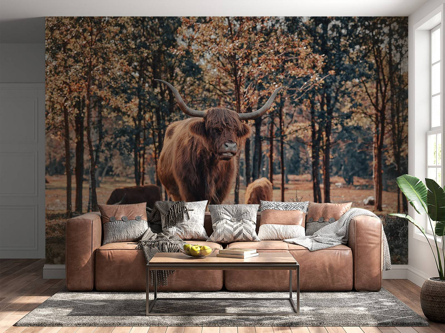 Fotobehang - Schotse hooglander bij de bosrand