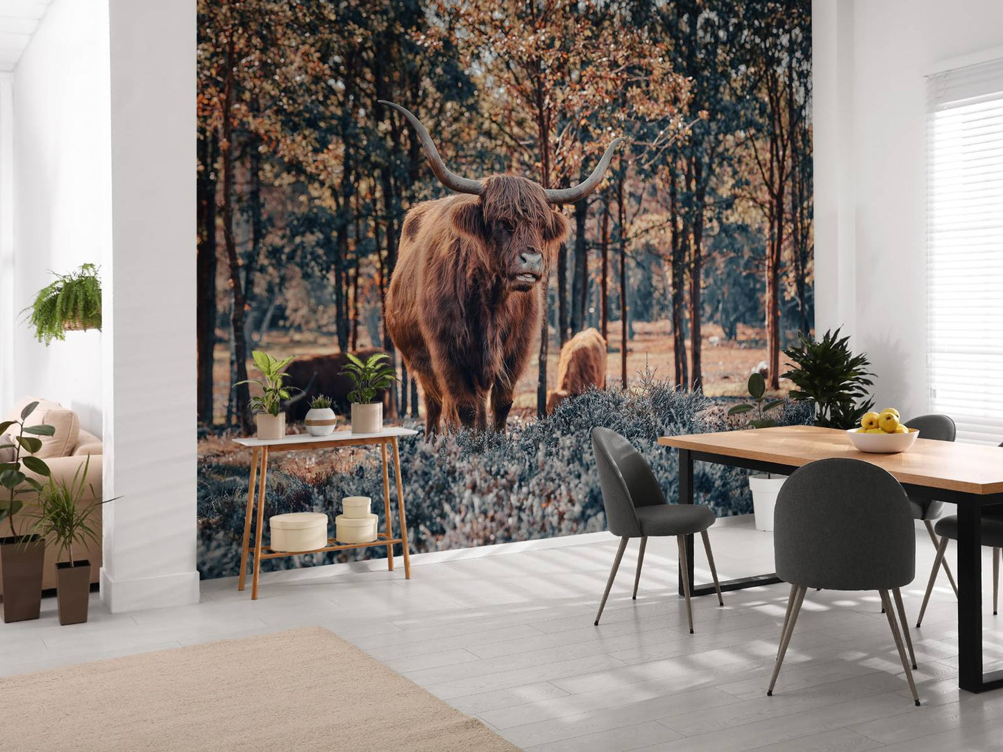 Fotobehang - Schotse hooglander bij de bosrand