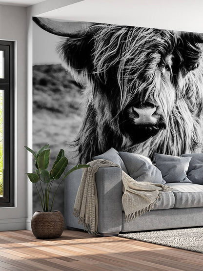 Fotobehang - Schotse hooglander in zwart-wit
