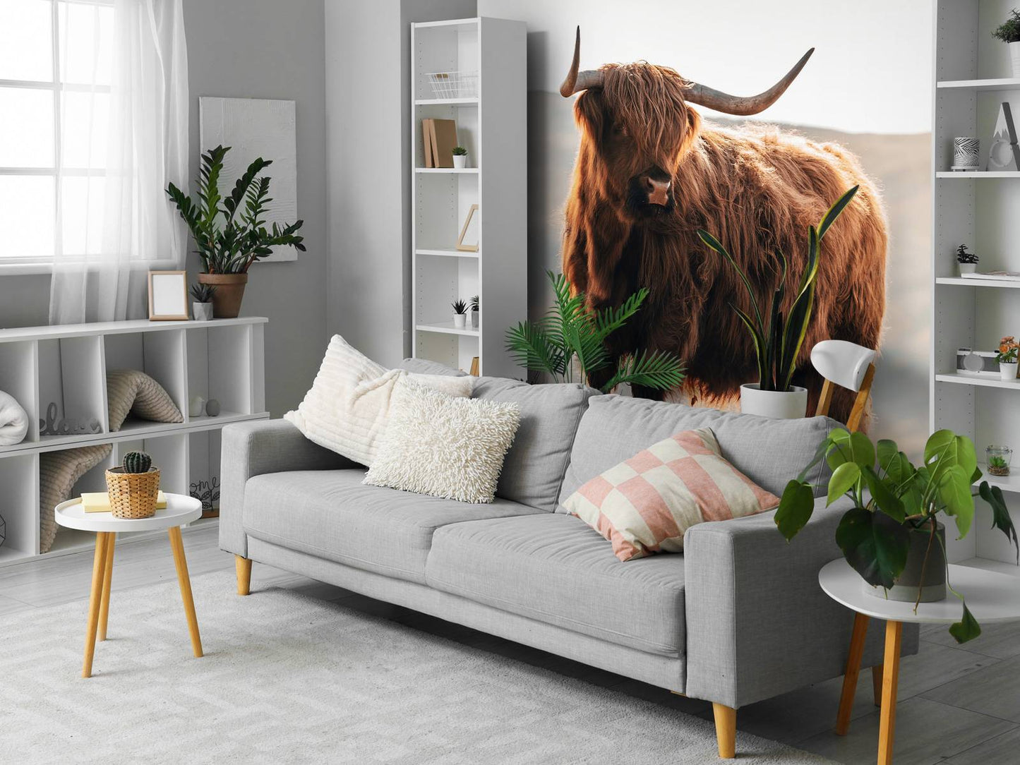 Fotobehang - Schotse hooglander op een heuvel