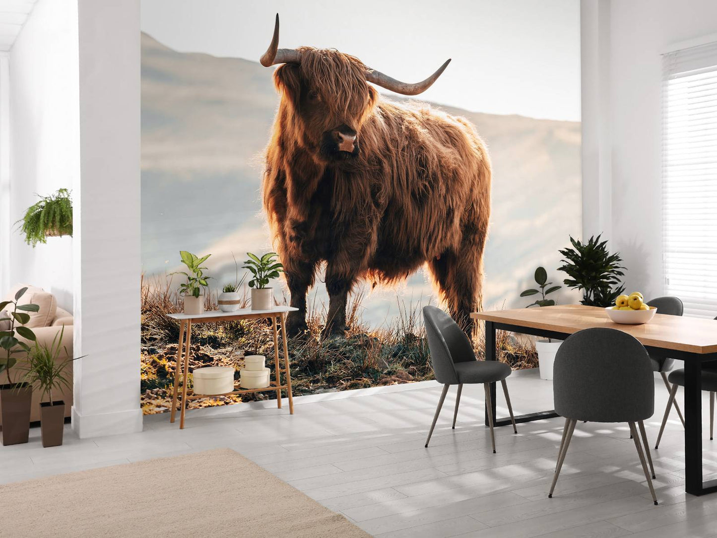 Fotobehang - Schotse hooglander op een heuvel